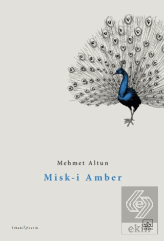 Misk-i Amber