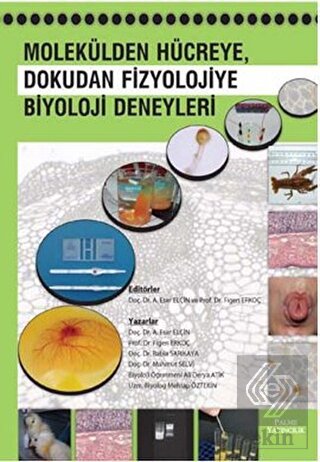 Molekülden Hücreye, Dokudan Fizyolojiye Biyoloji D