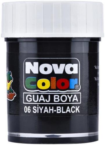 N.COLOR GUAJ BOYA 25ml ŞİŞE SİYAH