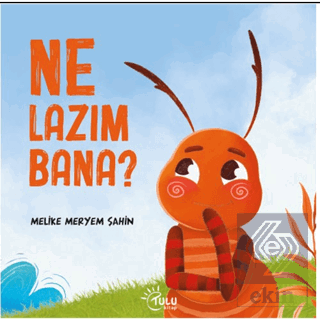 Ne Lazım Bana