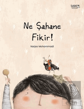 Ne Şahane Fikir!