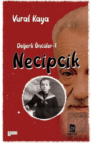 Necipcik