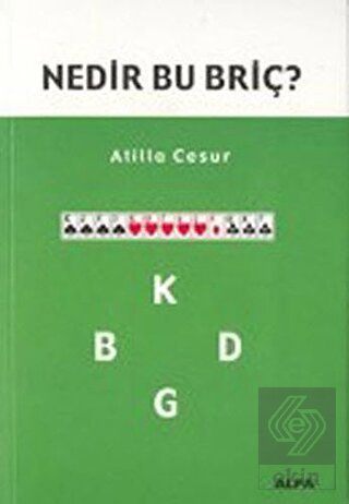 Nedir Bu Briç?