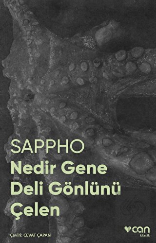 Nedir Gene Deli Gönlünü Çelen (Fotoğraflı Klasikle