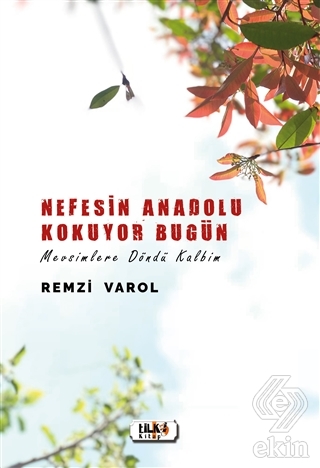 Nefesin Anadolu Kokuyor Bugün