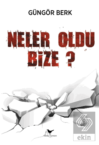 Neler Oldu Bize