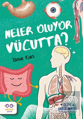 Neler Oluyor Vücutta? – Cezve Ansiklopedi