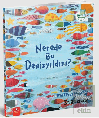 Nerede Bu Denizyıldızı?