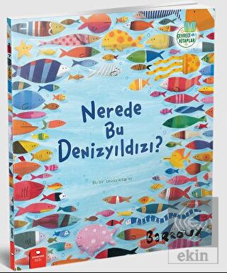 Nerede Bu Denizyıldızı?