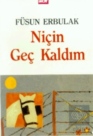 Niçin Geç Kaldım