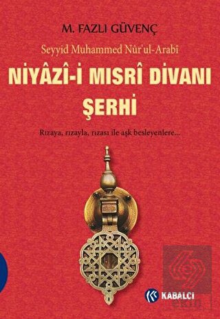 Niyazi-i Mısri Divanı Şerhi