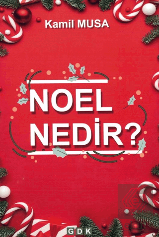 Noel Nedir?