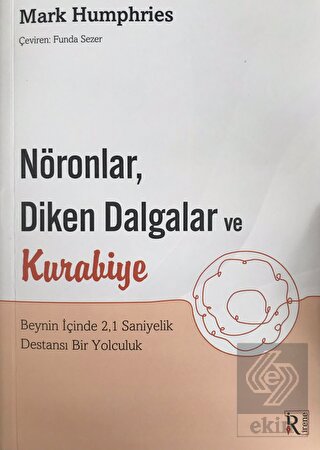 Nöronlar, Diken Dalgalar ve Kurabiye