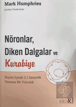 Nöronlar, Diken Dalgalar ve Kurabiye