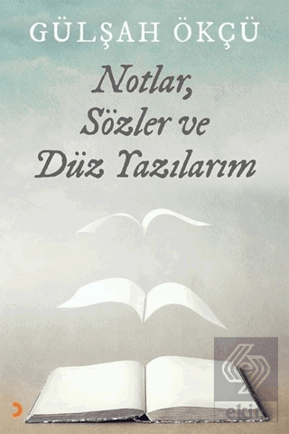 Notlar, Sözler ve Düz Yazılarım