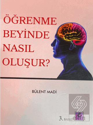 Öğrenme Beyinde Nasıl Oluşur?