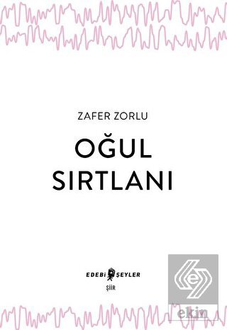 Oğul Sırtlanı