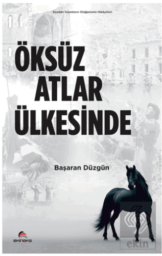 Öksüz Atlar Ülkesinde