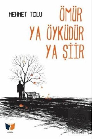 Ömür Ya Öyküdür Ya Şiir