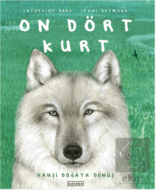 On Dört Kurt