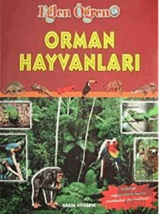 Orman Hayvanları