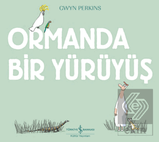 Ormanda Bir Yürüyüş