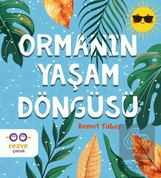 Ormanın Yaşam Döngüsü