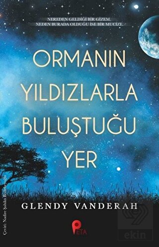 Ormanın Yıldızlarla Buluştuğu Yer