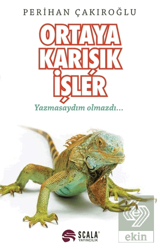 Ortaya Karışık İşler