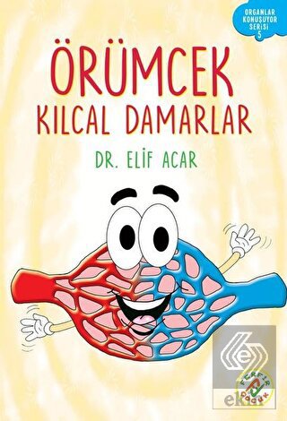 Örümcek Kılcal Damarlar - Organlar Konuşuyor Seris