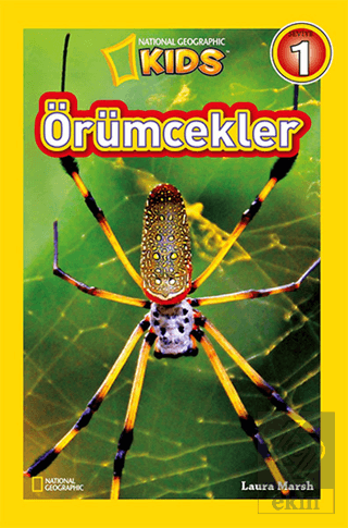 Örümcekler