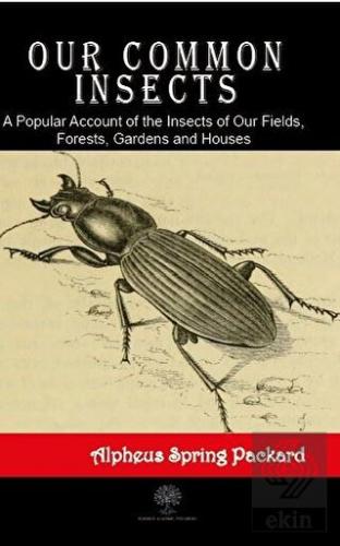 Our Common Insects