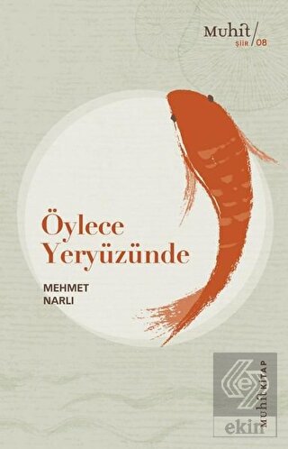 Öylece Yeryüzünde