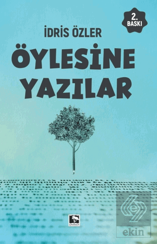 Öylesine Yazılar