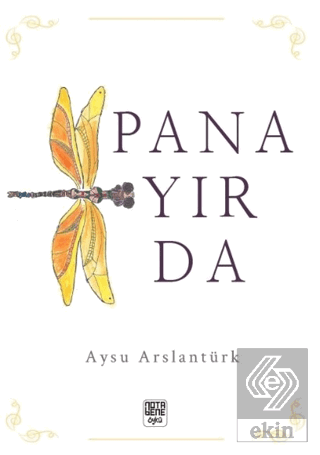 Panayırda