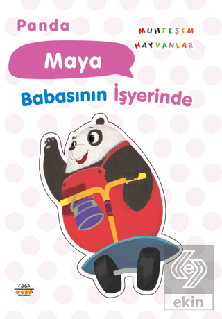 Panda Maya Babasının İşyerinde