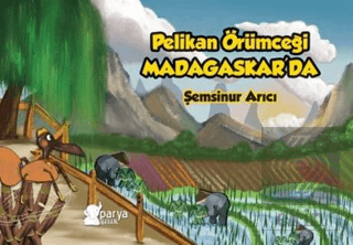 Pelikan Örümceği Madagaskar'da