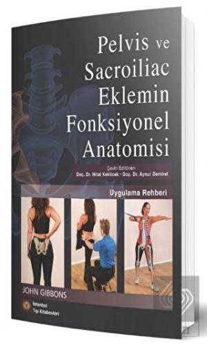 Pelvis ve Sacroiliac Eklemin Fonksiyonel Anatomisi