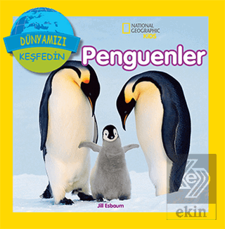 Penguenler