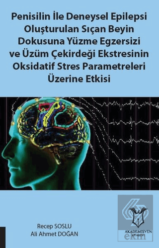 Penisilin İle Deneysel Epilepsi Oluşturulan Sıçan