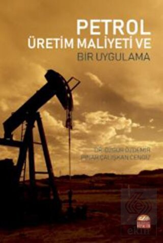 Petrol Üretim Maliyeti ve Bir Uygulama