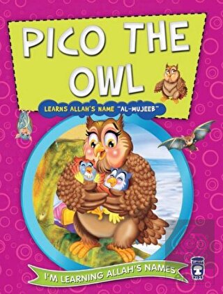 Pico the Owl Learns Allah's Name Al Mujeeb