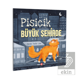 Pisicik Büyük Şehirde