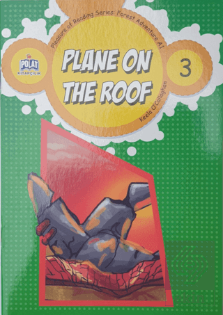 Plane On The Roof - 3