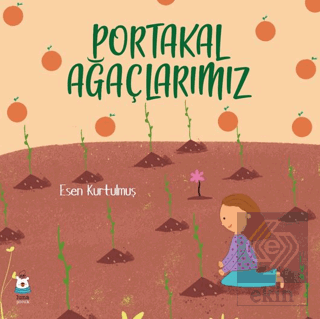 Portakal Ağaçlarımız