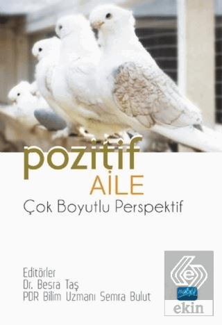 Pozitif Aile - Çok Boyutlu Perspektif