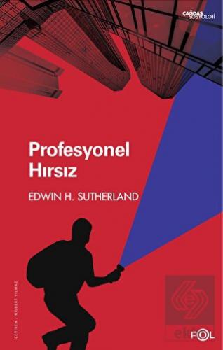 Profesyonel Hırsız