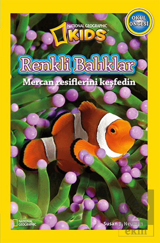 Renkli Balıklar