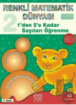 Renkli Matematik Dünyası 2