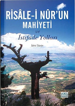 Risale-i Nur'un Mahiyeti ve İstifade Yolları